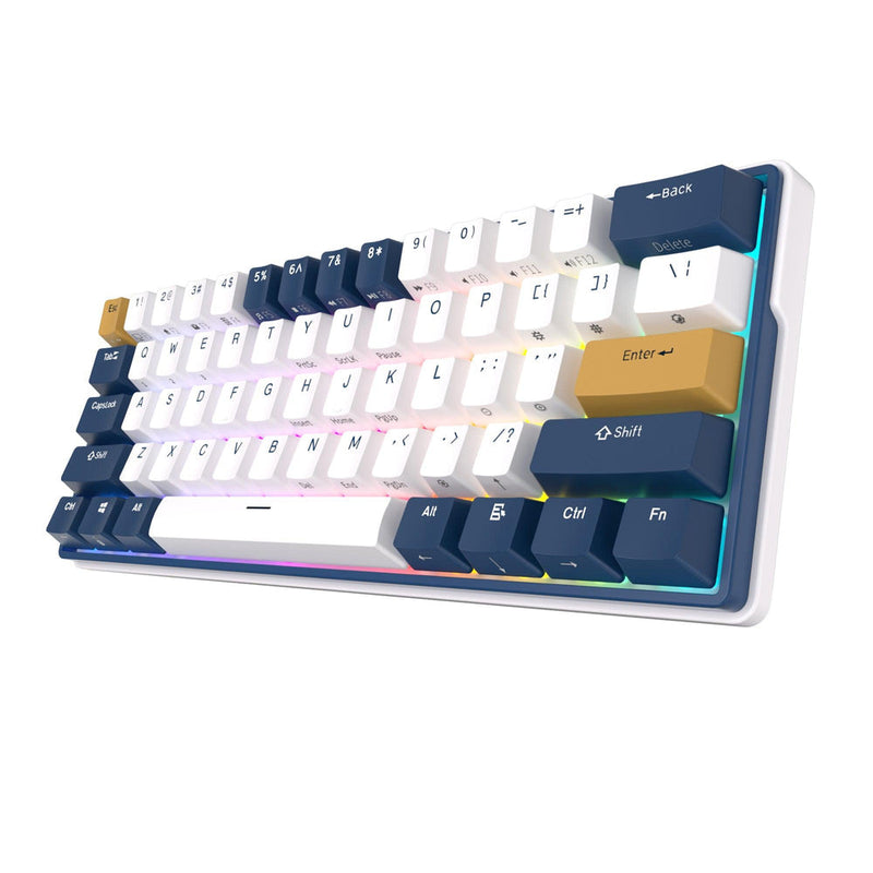 Royal Kludge RK61 Plus Triple Mode RGB 61-Keys Hot-Swappable Mechanical Keyboard Klein Blue Color - Blue Switch