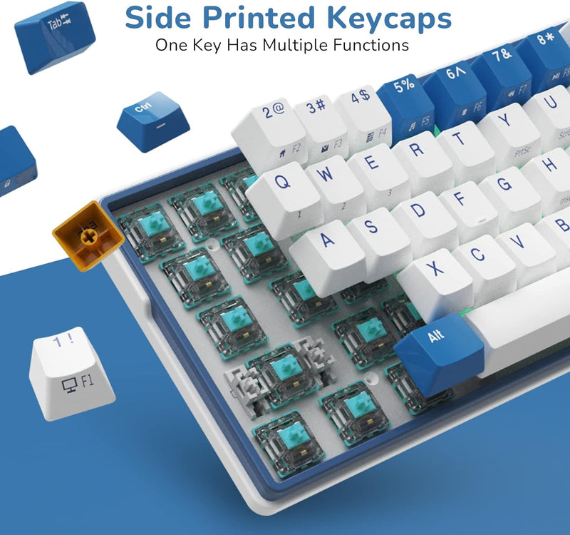 Royal Kludge RK61 Plus Triple Mode RGB 61-Keys Hot-Swappable Mechanical Keyboard Klein Blue Color - Blue Switch