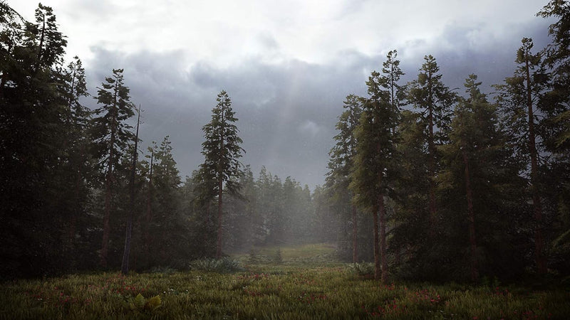 Hunting Simulator 2 - PlayStation 4 | PS4