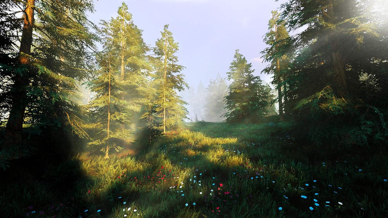 Hunting Simulator 2 - PlayStation 4 | PS4