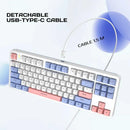 RYCUBE G87 87-Key Hot-Swap Mechanical Gaming Keyboard - Wired Gaming with Rainbow RGB Lighting - PBT Keycaps - Lite Gasket Design - Silver Switch