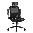 Cougar SPEEDER ONE Ergonomic Gaming Chair