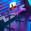 AY Ergonomic Electric Height Adjustable RGB Gaming Sit-Stand Desk