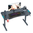 AY Ergonomic Electric Height Adjustable RGB Gaming Sit-Stand Desk