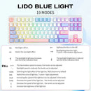 RYCUBE G87 87-Key Hot-Swap Mechanical Gaming Keyboard - Wired Gaming with Rainbow RGB Lighting - PBT Keycaps - Lite Gasket Design - Silver Switch
