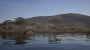 Way of the Hunter 2 - PlayStation 5 | PS5